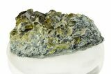 Gemmy Diopside with Chlinochlore - Afghanistan #255786-1